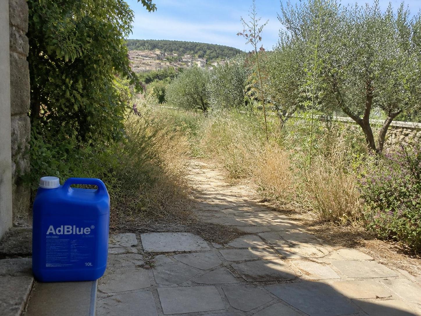 découvrez si l'adblue est une idée reçue ou une solution efficace pour désherber vos allées. analyse complète des avantages et limites de cette méthode simple et économique.